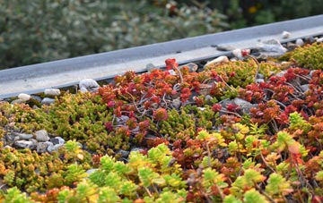 the cost of Silkstead green roof installation